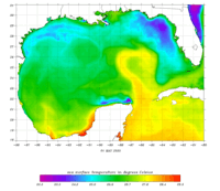 Gulf with Gulf of America Colored Field thumbnail
